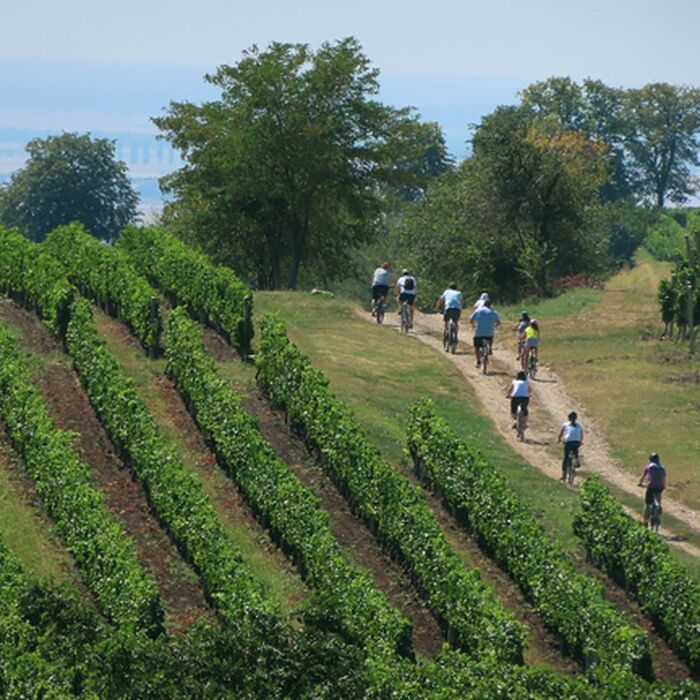 Transylvanian Gravel Odyssey - 9-Day Guided Cycling Adventure - Climbing the Transylvanian Hills